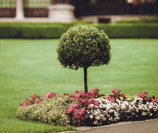 Gartenpflege & Außenanlagen (Preis pro 1 Std.)